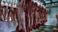 Importación de carne: productores apoyan decreto y analistas advierten riesgos