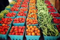 Dieta para cáncer útil para proteger contra enfermedades transmitidas por alimentos