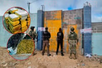 FGR asegura más de 265 kilos de marihuana en Mulegé, Baja California Sur