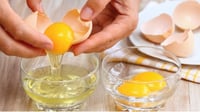 Yema o clara de huevo: Expertos revelan cuál es la mejor parte