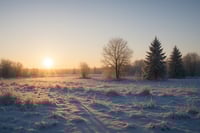 En países alejados del ecuador, el invierno dispara la preocupación por la vitamina D