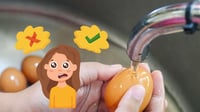 ¿Se deben lavar los huevos antes de usarlos? Nunca sabes por dónde pasaron