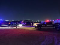 Intentan frenar tren para robar vagones