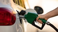 Profeco reporta estabilidad en el precio de la gasolina regular