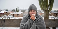 ¿Por qué enfermamos más en invierno? La UNAM explica el alza de contagios en México
