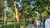 Árboles — pero no césped ni otras zonas verdes — son buenos para la salud del corazón de los habitantes urbanos