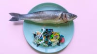 ¿Comes microplásticos sin saberlo? 10 alimentos que podrían estar contaminados