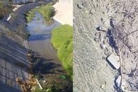 Arroyo Frontera muestra agua limpia y ¡hasta peces! Tras inicio de canalización
