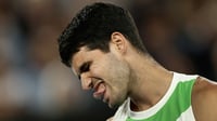 Baja de Alcaraz en Rotterdam por desgaste tras Australian Open