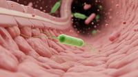 Descubren cómo un microbio del intestino reduce el riesgo de fibrilación auricular