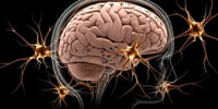¿Cómo detectar el Alzheimer temprano? Señales clave para actuar hoy en México