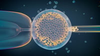 Variantes genéticas que explican por qué el 15% de los embarazos terminan en abortos