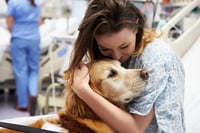 Los perros de terapia alivian la soledad entre personas hospitalizadas