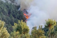 Combaten incendio forestal en la Sierra Negra de Puebla; afecta 150 hectáreas