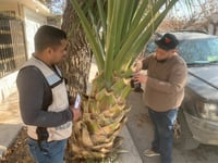 Sector Salud refuerza acciones preventivas contra el dengue en Sabinas