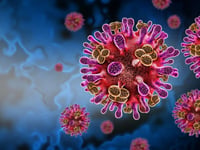 Virus Nipah: qué es, cómo se transmite y dónde se están produciendo los brotes