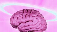 Cómo rejuvenecer el cerebro según la ciencia para vivir hasta 15 años más