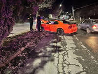 Adolescente choca Mustang contra árbol en Castaños