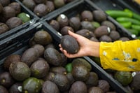 México impulsa certificación de productos libres de deforestación
