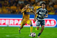 Tigres recibe a Pachuca este viernes en el estadio Universitario