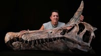 Científicos descubren nueva especie de Spinosaurus en el desierto del Sáhara