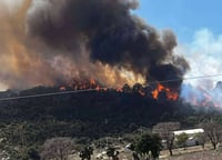 Reportan 90% de control en incendio forestal de Oriental, Puebla