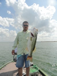 Eliud Flores Velero