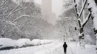 Tormenta de nieve histórica paraliza noreste de Estados Unidos