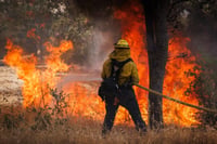 Incendio forestal en Florida alcanza zona crítica de Everglades