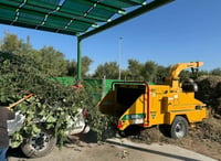 Por concluir la temporada de poda libre