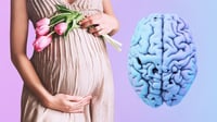 El embarazo altera físicamente el cerebro de una mujer
