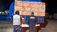 Operativo contra tala ilegal deja 14 detenidos en Michoacán