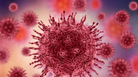 Alerta sanitaria: Estados Unidos supera los mil 100 casos de sarampión