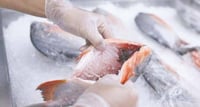 Salud lanza alerta de prevención por alza en venta de mariscos
