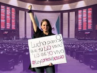 Cámara de Diputados aprueba Ley Valeria que tipifica el acecho