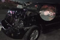 Vaca muere tras ser embestido por camioneta en Castaños