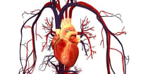 Por qué las enfermedades cardiovasculares aún son la principal causa de muerte