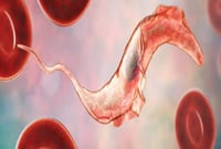 La carga económica de la enfermedad de Chagas crónica