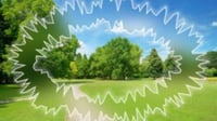 Destellos en la vista: cómo distinguir entre un aura de migraña y una emergencia