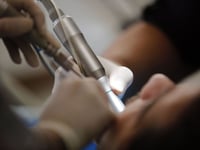 ¿Podrán volver a crecer los dientes humanos? La ciencia ya trabaja en ello