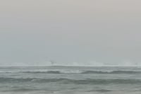 Rescatan a cuatro pescadores tras volcar su lancha en Oaxaca
