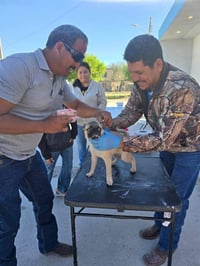 Autoridades de Nava refuerzan salud preventiva de animales domésticos