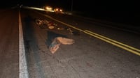 Motociclista pierde la vida tras derrapar en la Carretera Federal 57