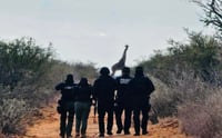 Jirafas sorprenden en el desierto de Coahuila