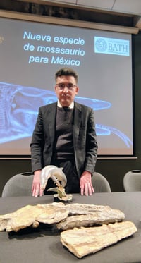 Identifican nueva especie de reptil marino en el MUDE