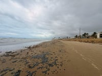 Pemex recolecta 95.7 toneladas de hidrocarburos en playas