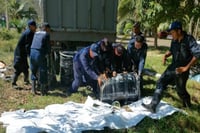 Limpian playas de Veracruz; recolectan 8 toneladas de hidrocarburo