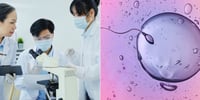 Donante de esperma transmite enfermedad rara a múltiples descendientes