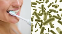 Las bacterias que pueden vivir en tu cepillo de dientes sin que las veas