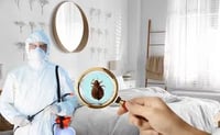 Consejos urgentes para mantener tu casa limpia y libre de insectos
